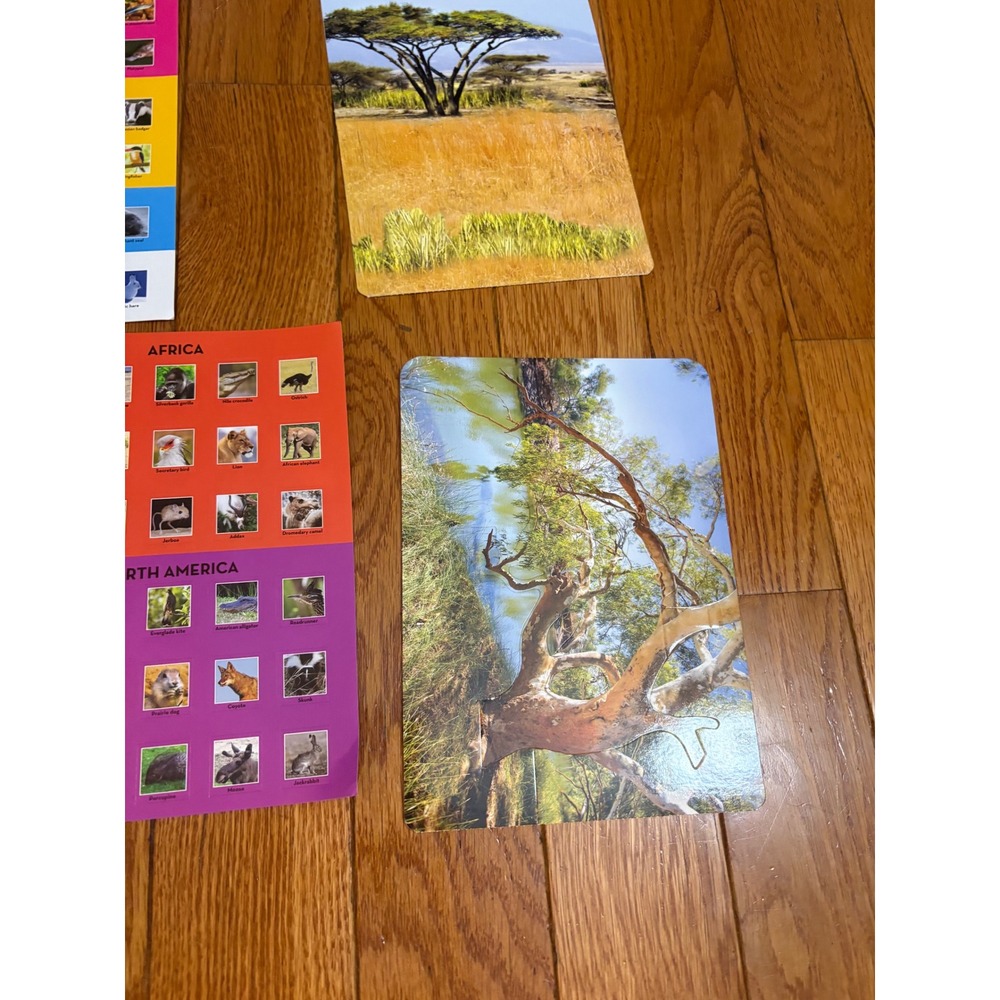 Earth Lab World Animals Educational Learning Kit Map‎ Stickers Booklet Multi - Picture 4 of 11